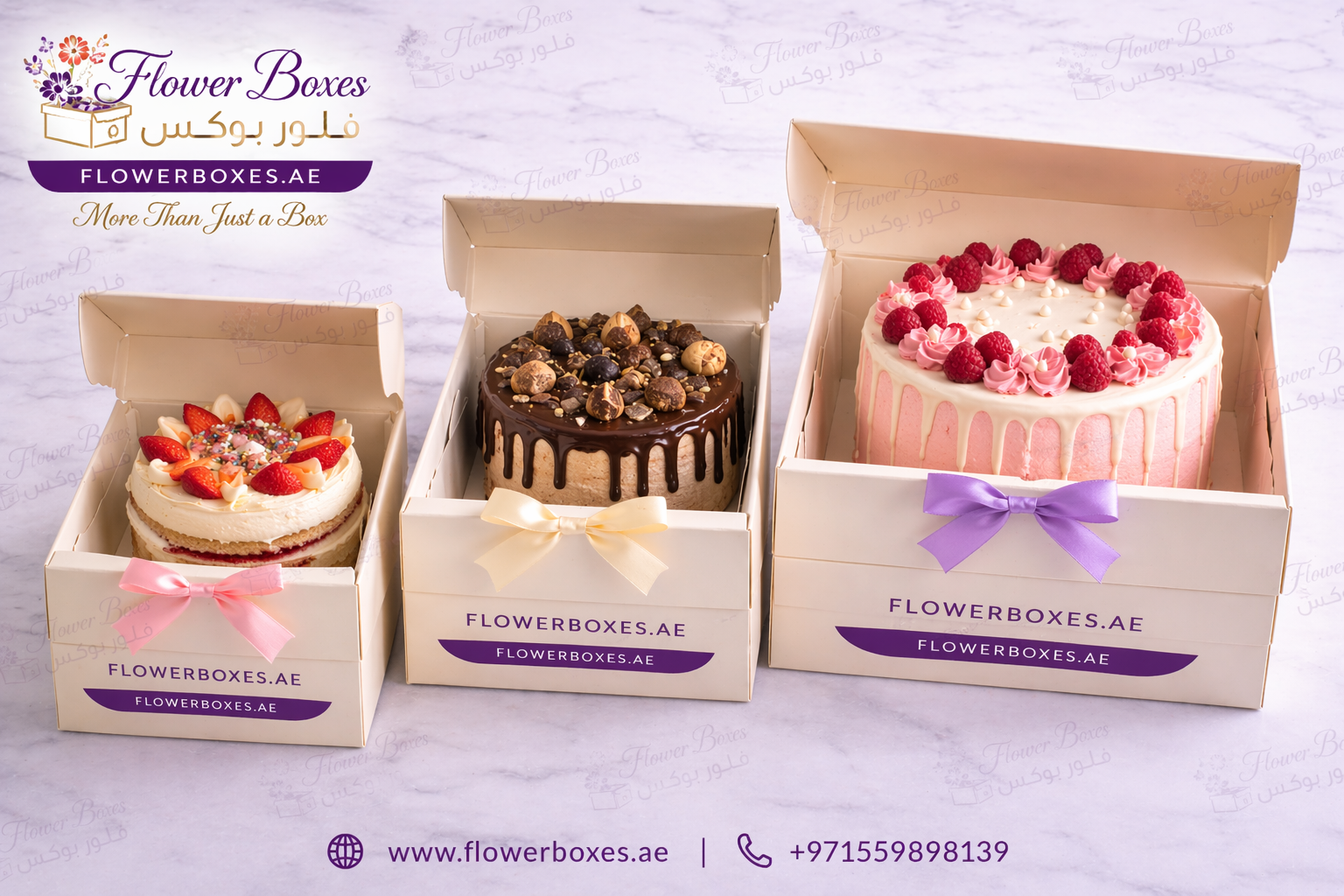 Multi-Size Cake Box Packaging